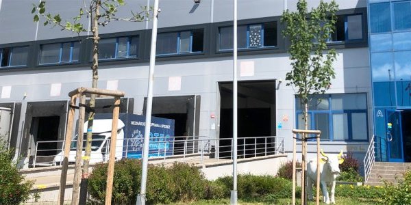 Logistics & Warehousing